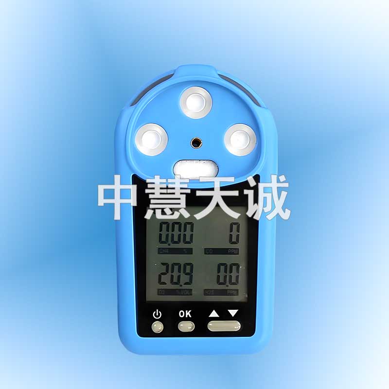 多参数气体检测报警仪