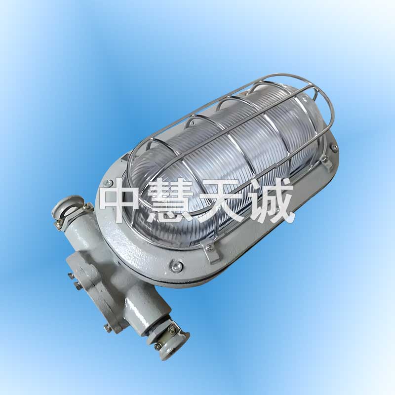 矿用隔爆兼本质安全型LED支架灯